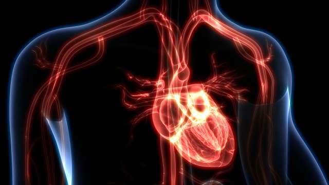 3D illustration of a human heart with glowing blood vessels in a dark setting.