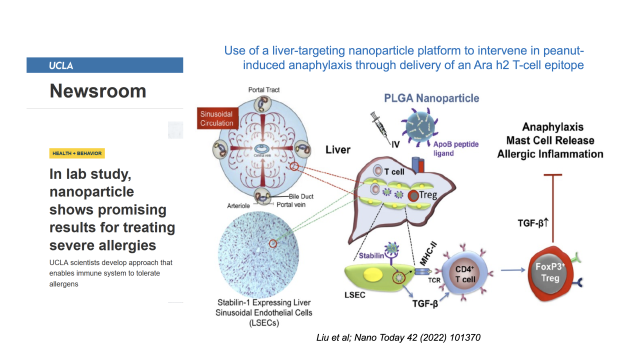 UCLA Newsroom image screenshot