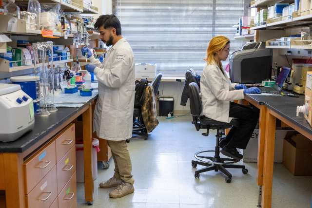 CCP muscle tissue lab