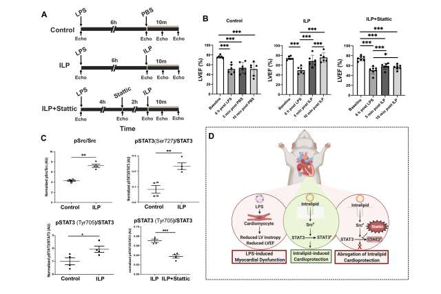 Research Data Figures