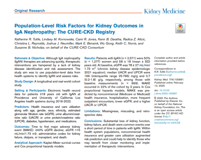 Population-Level Risk Factors for Kidney Outcomes in IgA Nephropathy