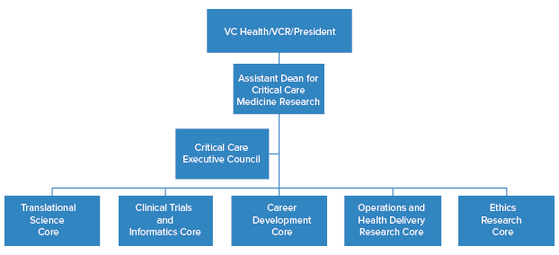 Governance Structure