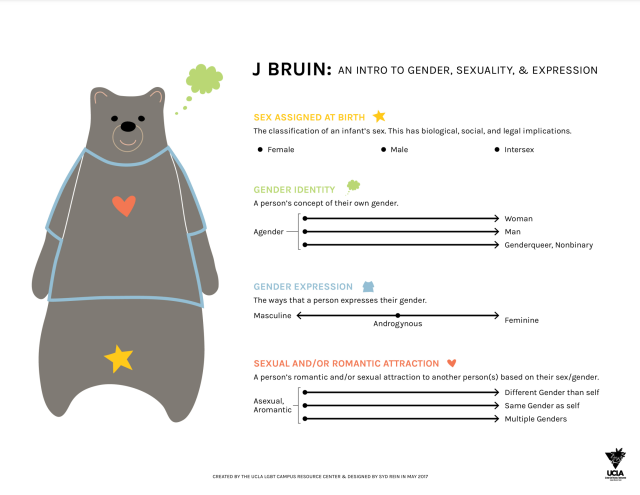 jBruin Gender Education illustration