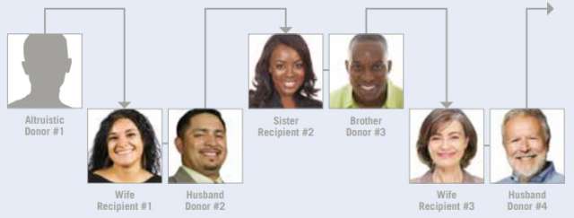 Kidney exchange chain diagram