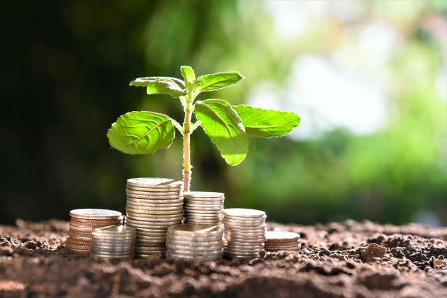 Seedling growing from coins