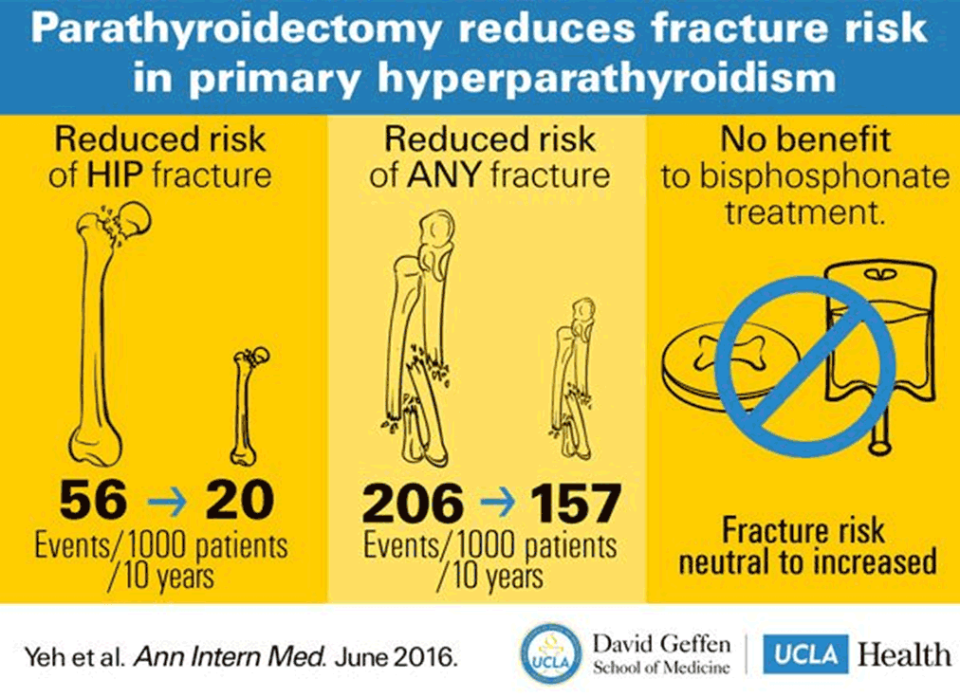 Poster with medical illustrations showing that Parathyroidectomy Reduces Fracture Risk Primary Hyperparathyroidism