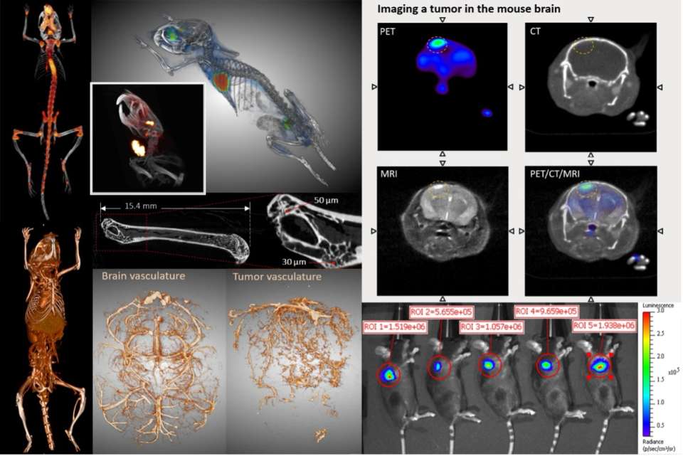 Small Animal Imaging shared resource scan collage