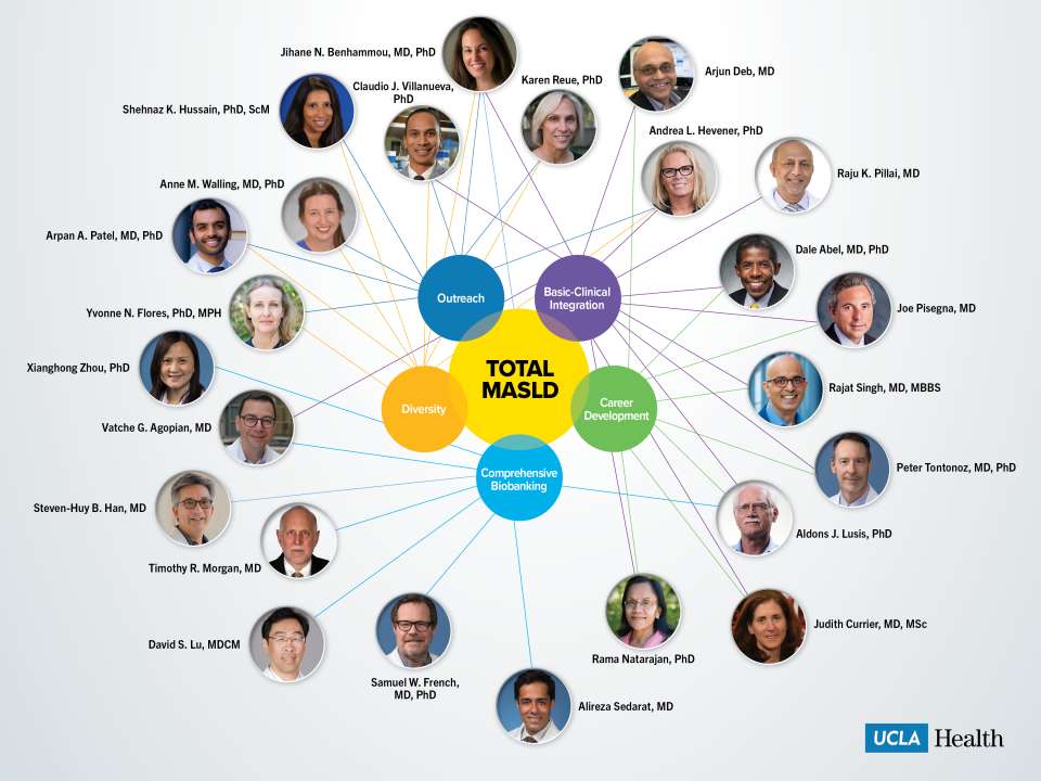 Executive Committee Diagram - Comprehensive Liver Research Center at UCLA