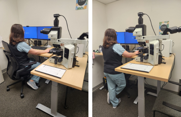Dr. Chana Sachs at her New Height Adjustable Desk