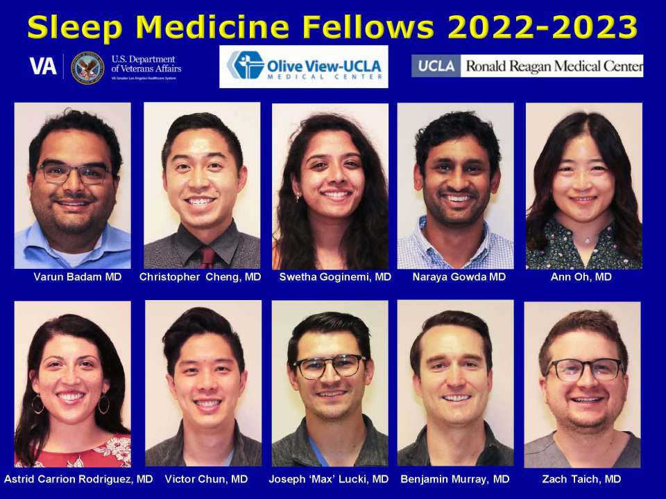sleep fellows 2022-2023
