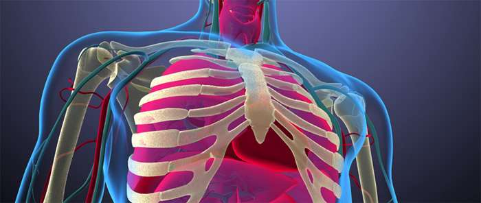 Chest Scan