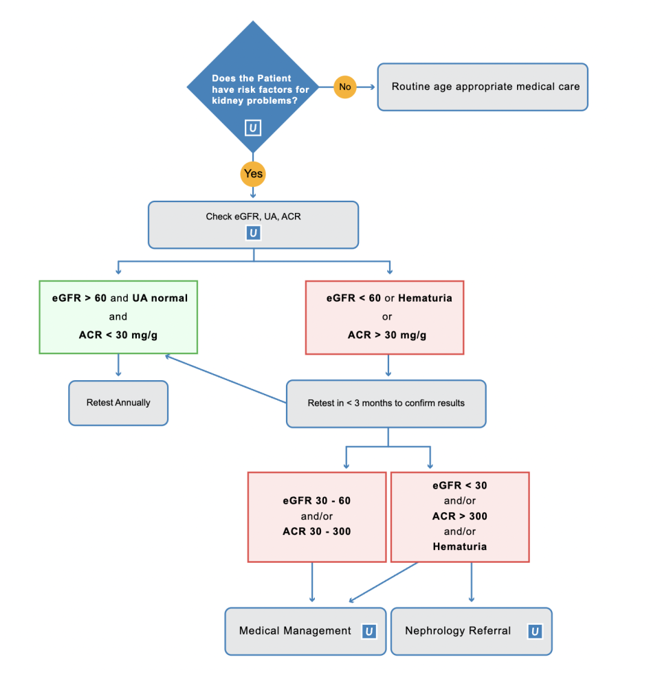 Kidney Health Preservation Pathway