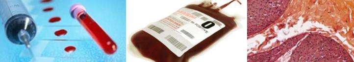 Transfusion Medicine