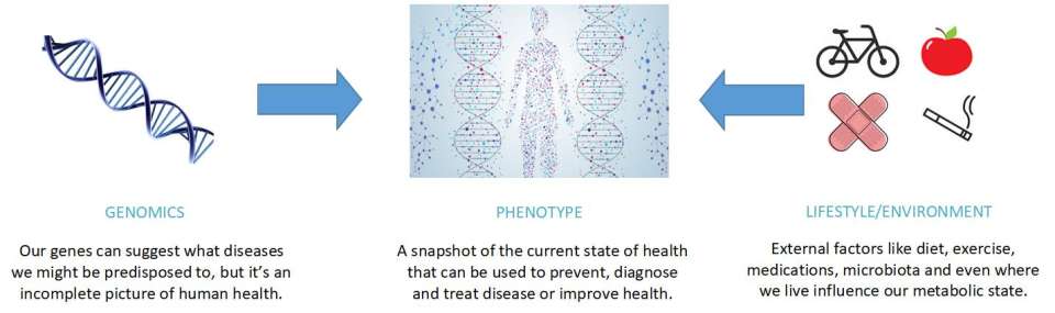 What is precision health