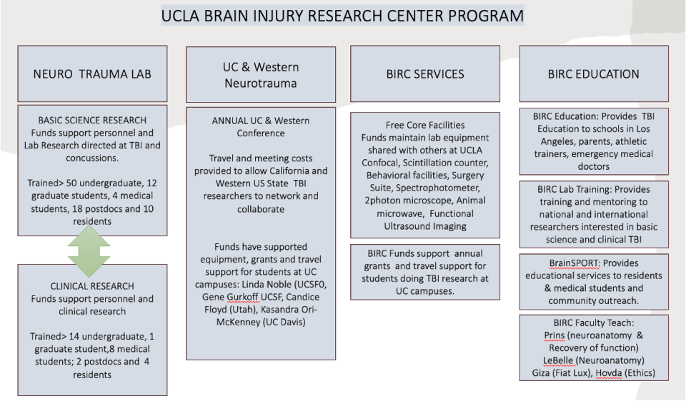 Diagram of UCLA brain injury research center program. Sections include neuro trauma lab, UC and Western neurotrauma, BIRC services, and BIRC education.