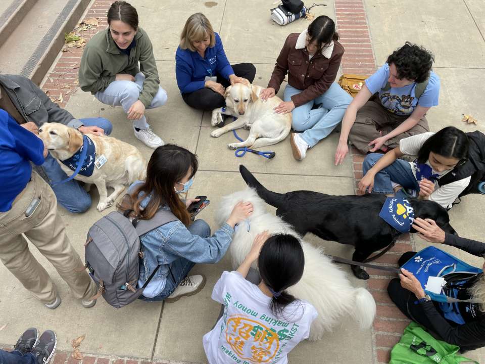 Young Research Library
