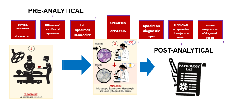 Pathology for Surgeons graphic from pre-analytical to post-analytical