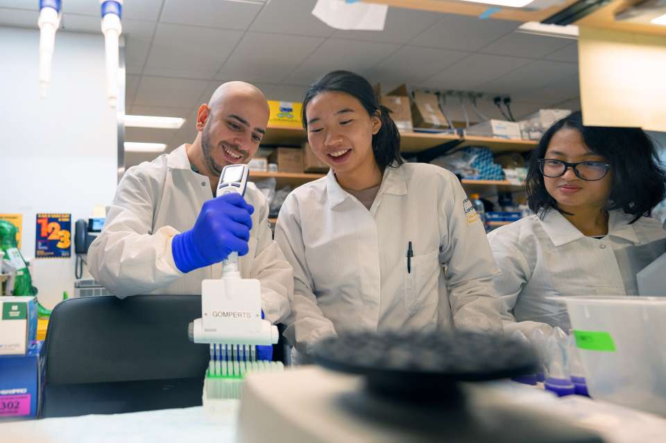 Young UCLA cancer researchers working in lab