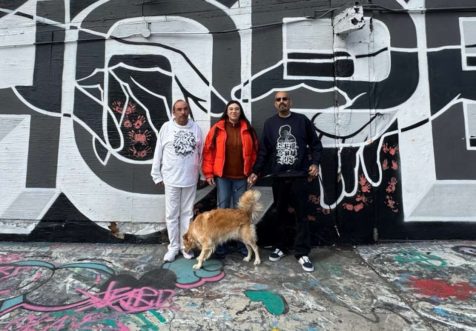 Big Sleeps at the Graff Lab