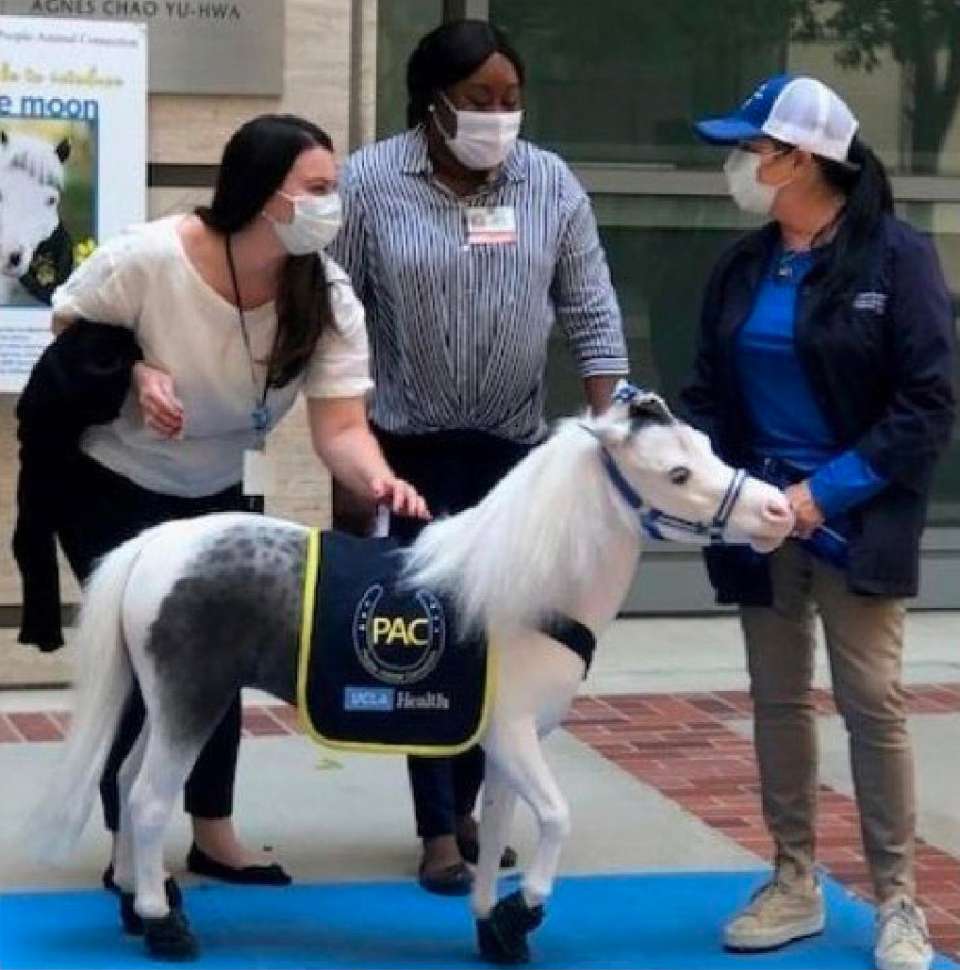 Outdoor pet station with Blue Moon