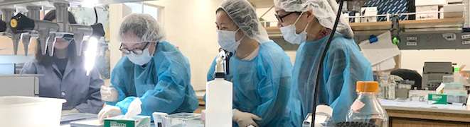 Positions available at Radu lab.