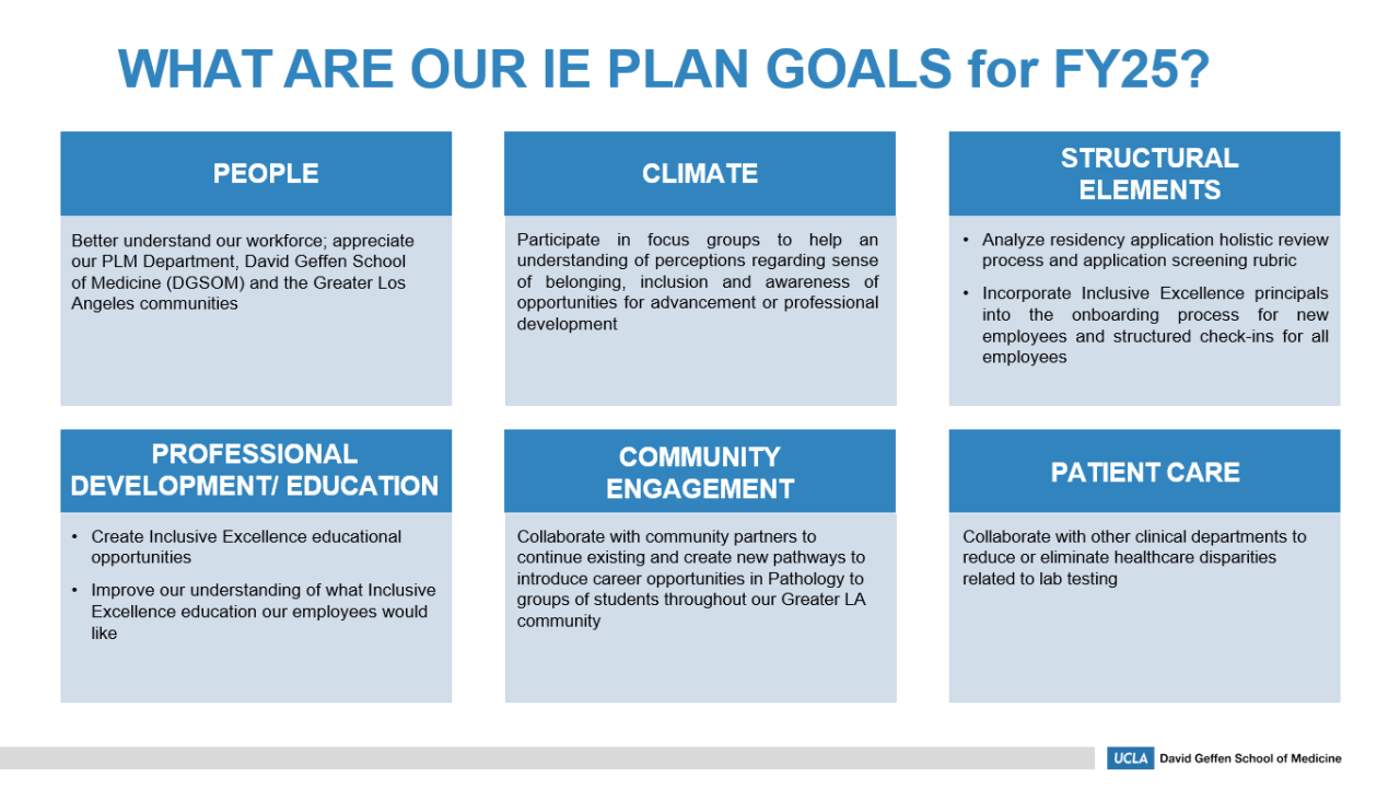 Pathology IE Plan Goal FY25