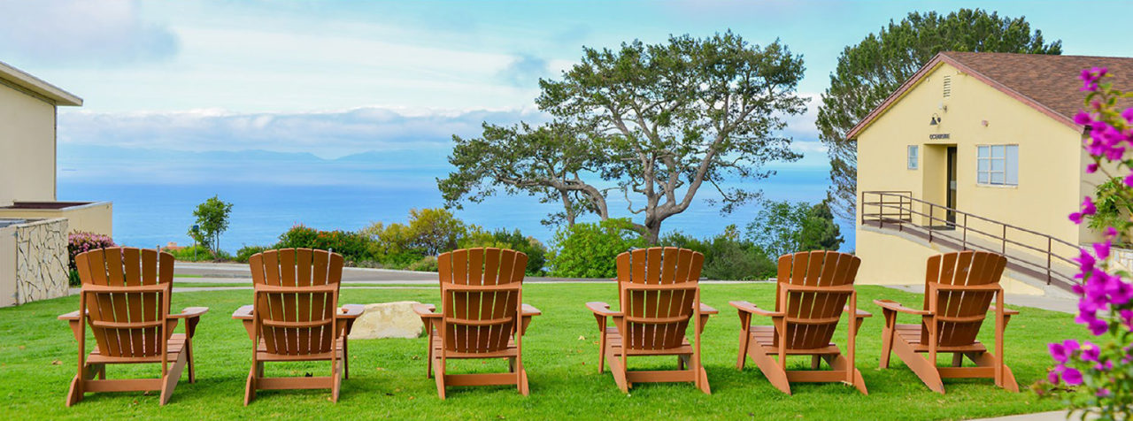 a row of adirondack chairs overlooking a tree and ocean view in the distance