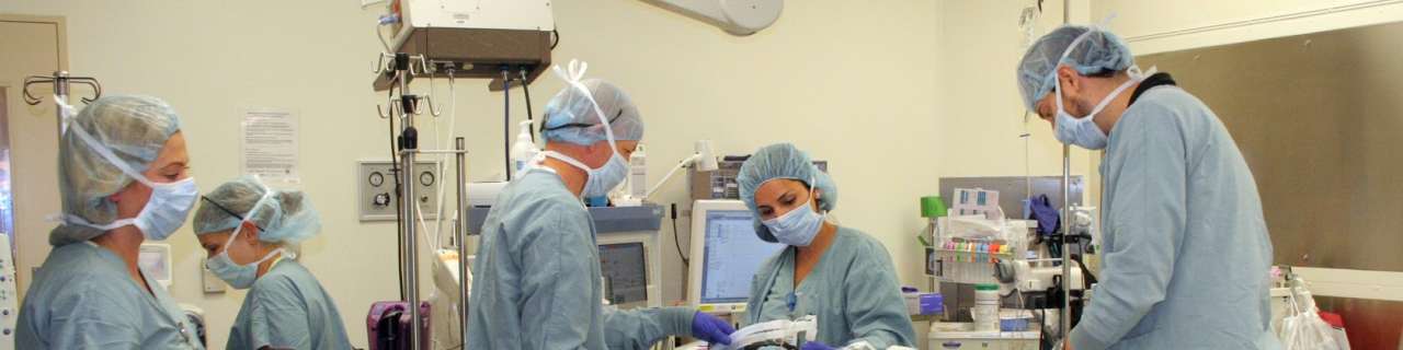 Doctors in an operating room
