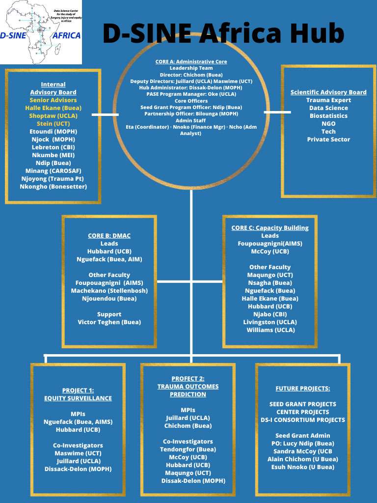 D SINE Org Chart