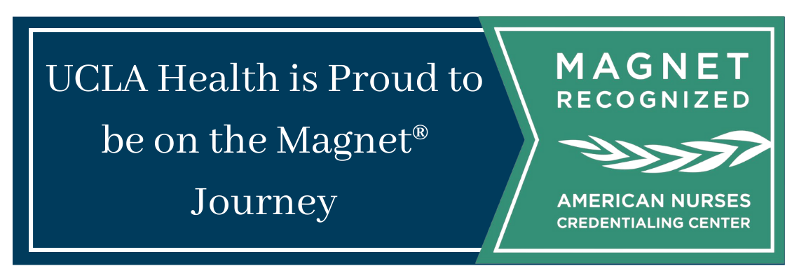 Magnet Webpage Banner