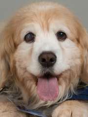 Charlie