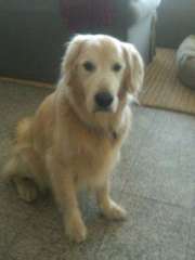 Jackson