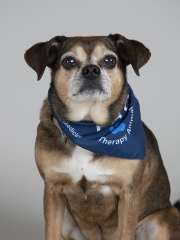 Roscoe