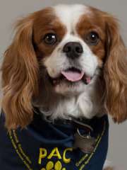 Tucker