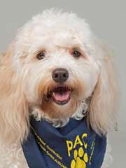 Bailey