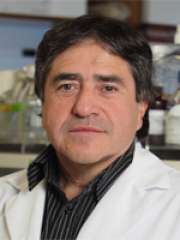 Fernando Gomez-Pinilla, PhD