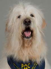 Charley