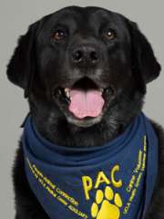 Paco