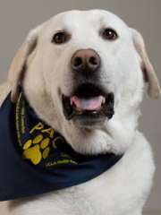 Finn