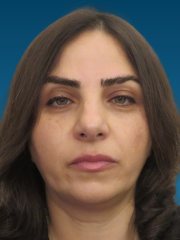 Leila Sadeghipoor Nursing Simulation Analyst