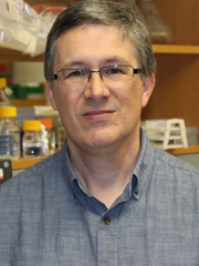 Dr. Sahin-Toth