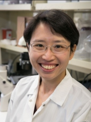 Yvonne Chen