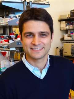 Mikhail Shapiro, PhD