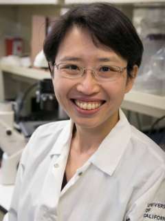 Dr. Yvonne Chen