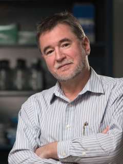 Zoran Galic, PhD