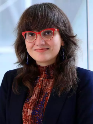 headshot of doctor grabirel magda