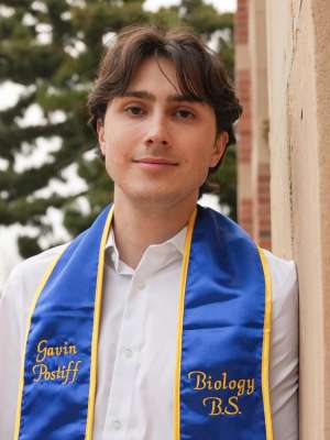 Gavin Postiff