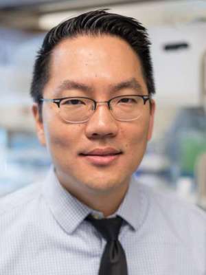 John K. Lee PhD