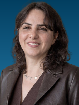 Leila Sadeghipoor Nursing Simulation Analyst
