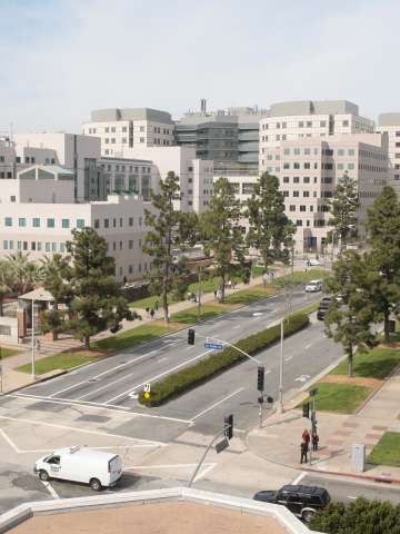 Emergency medicine in Westwood, California